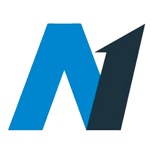 A1 CAPİTAL PORTFÖY BIST 100 DIŞI ŞİRKETLER HİSSE SENEDİ SERBEST (TL) FON (HİSSE SENEDİ YOĞUN FON)