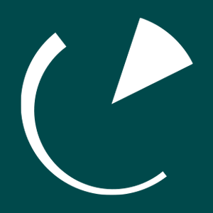 RE-PIE PORTFÖY AGRESİF DEĞİŞKEN FON